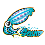 Squid Proxy