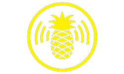 Wifi Pineapple